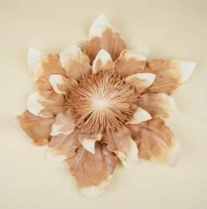 Foam Small Open Peony 30cm
